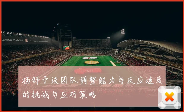杨舒予谈团队调整能力与反应速度的挑战与应对策略